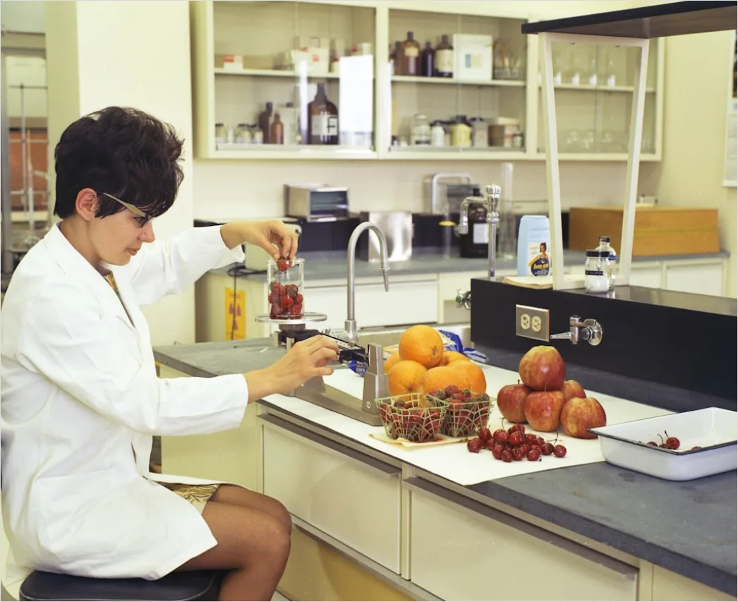 Detail Scientist Checking Experiment Setup In Lab Number 17