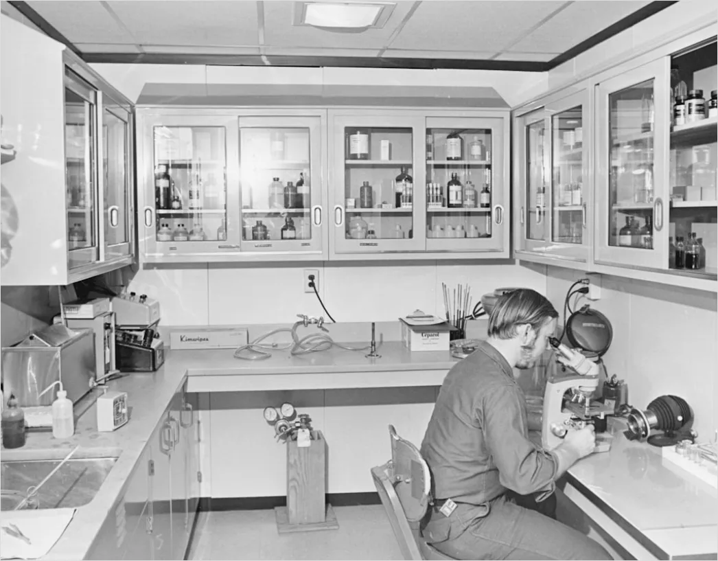 Detail Scientists Discussing Data In Lab Setting Number 3