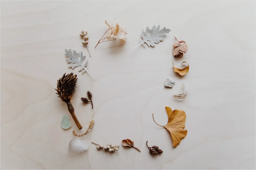 Detail Skincare Ingredients Flat Lay Natural Background Number 18