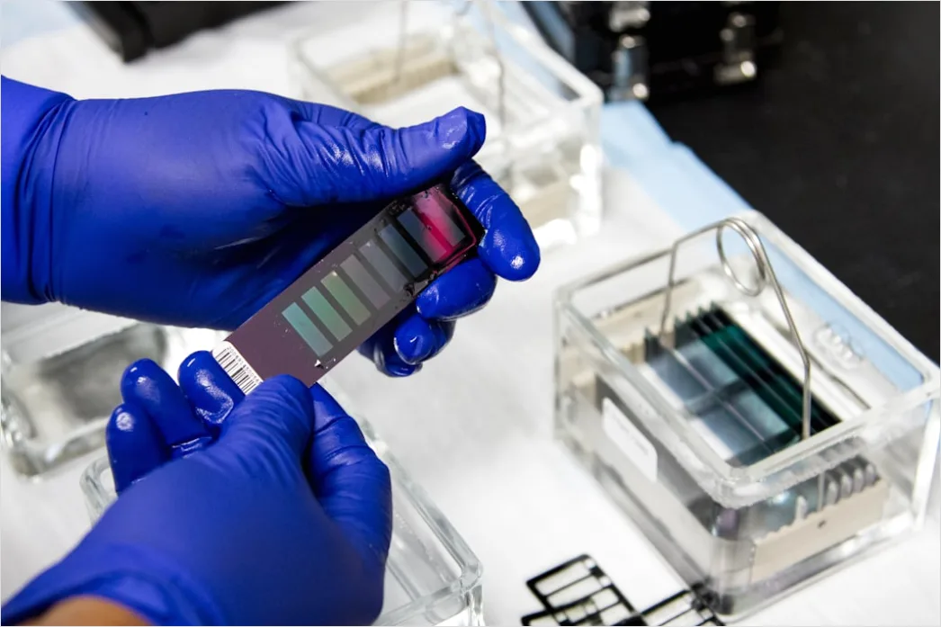 Detail Spectrophotometer Analysis In Chemistry Laboratory Number 4