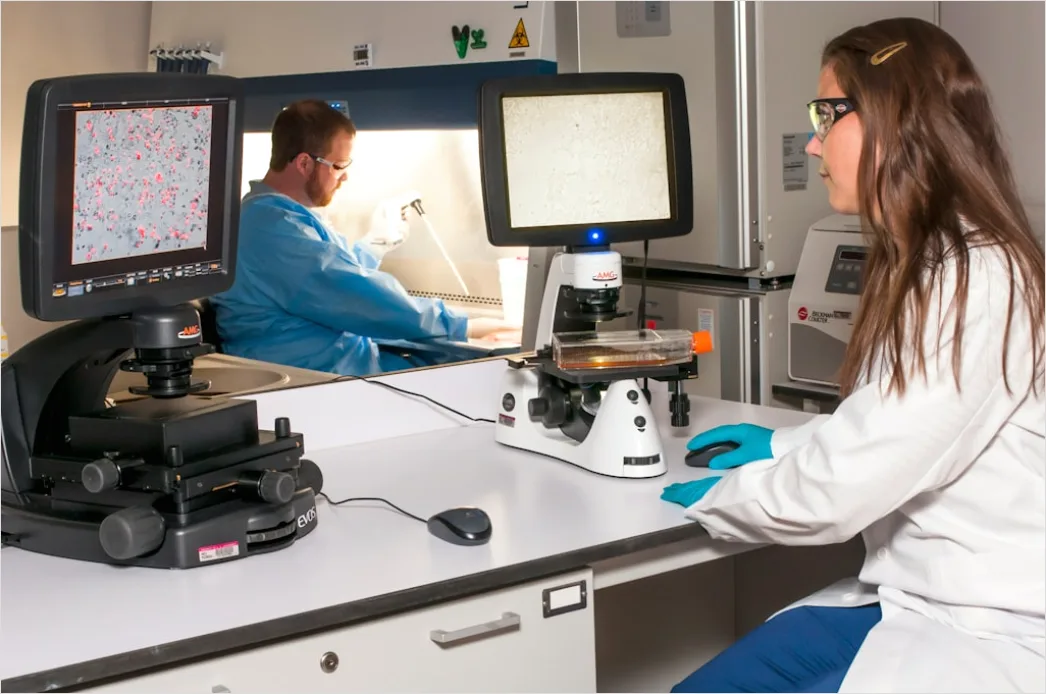 Detail Spectrophotometer Analysis In Chemistry Laboratory Number 10