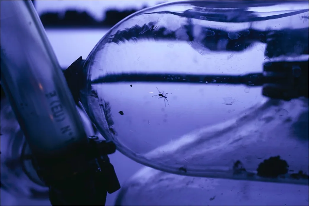 Detail Titration Experiment Burette Close Up Photo Number 19