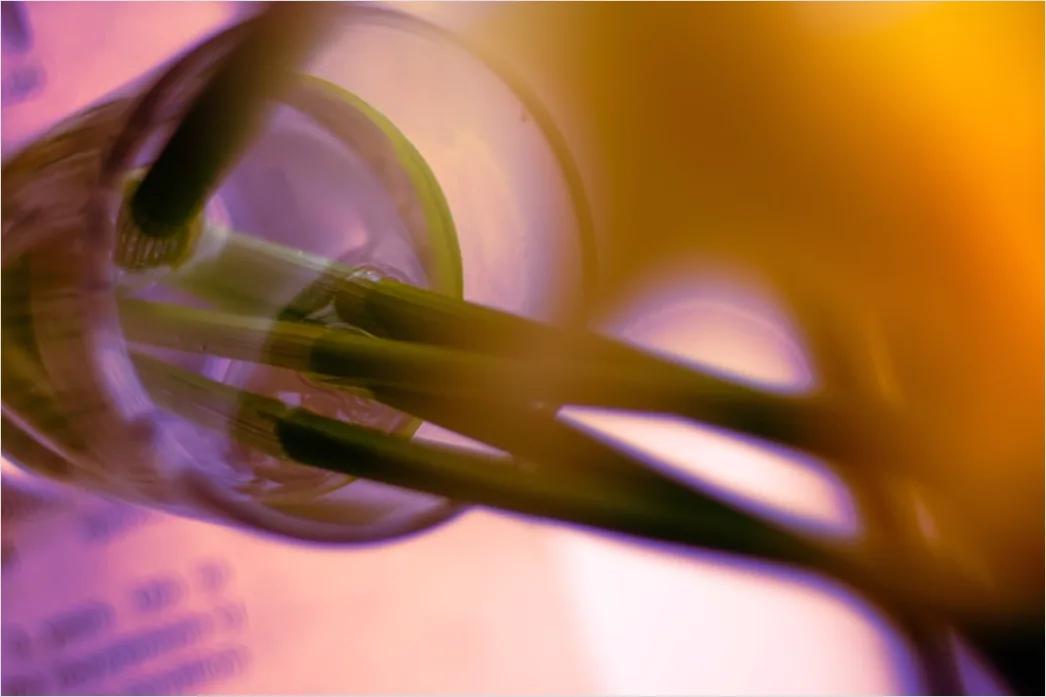 Detail Titration Experiment Burette Close Up Photo Number 10