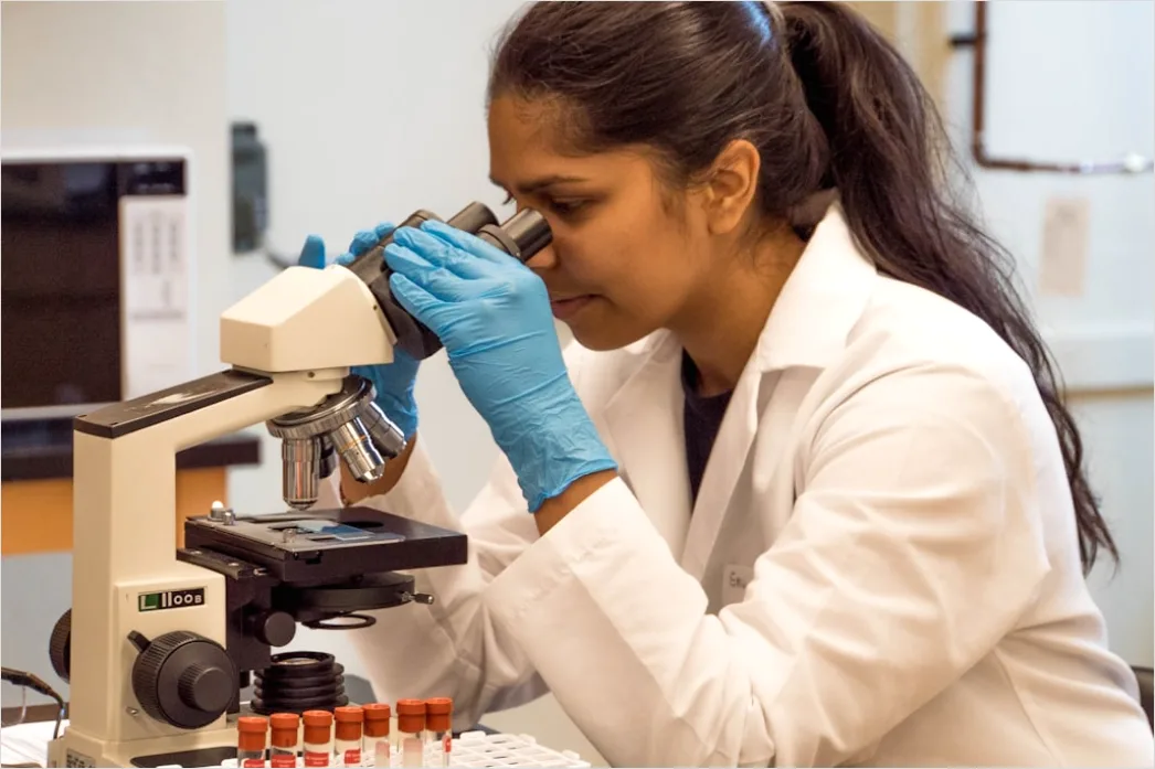 Detail Vaccine Development Laboratory Scientist Working Number 13