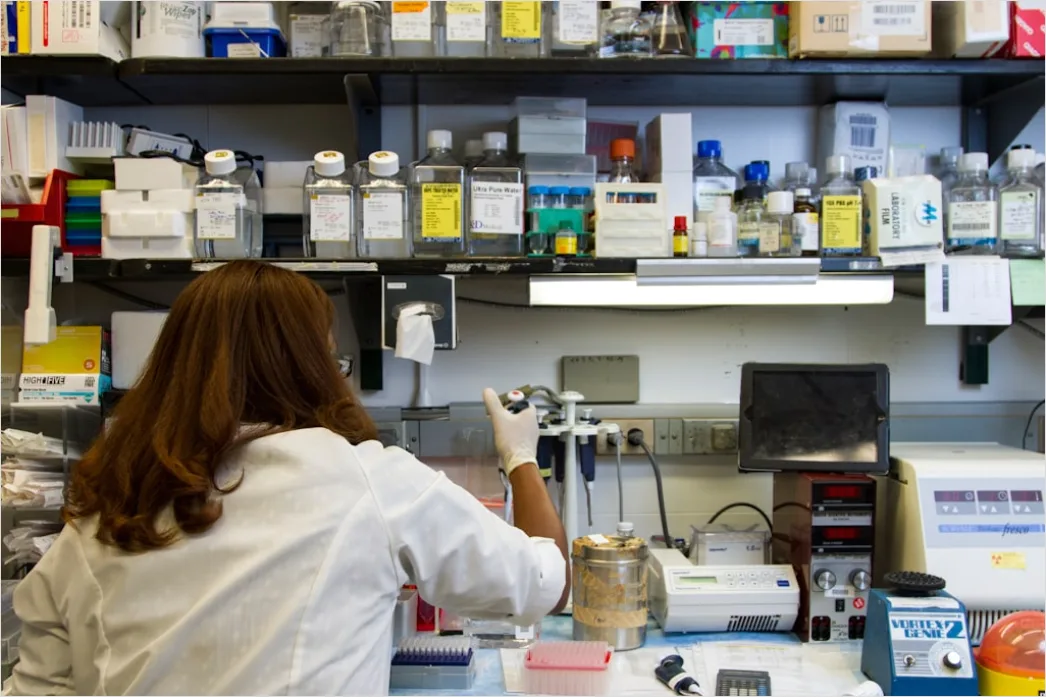 Detail Vaccine Development Laboratory Scientist Working Number 17