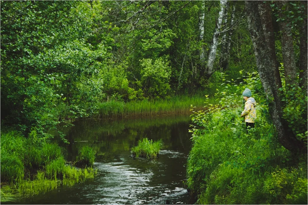 Detail Wetland Research Sampling And Monitoring Outdoors Number 16