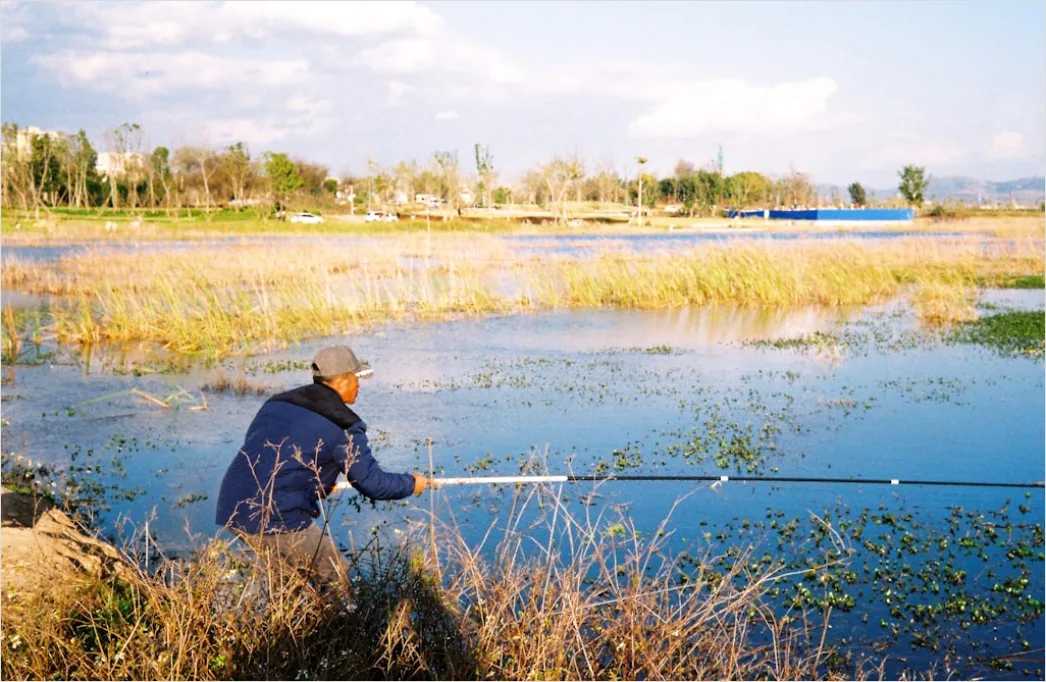 Detail Wetland Research Sampling And Monitoring Outdoors Number 4