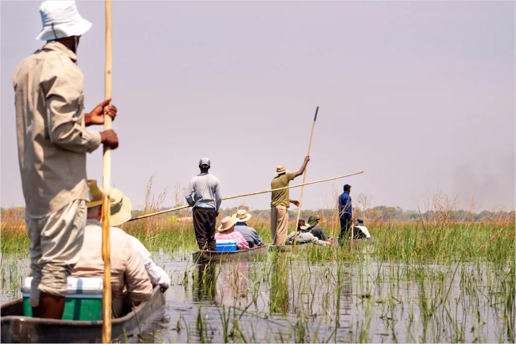 Detail Wetland Research Sampling And Monitoring Outdoors Number 5