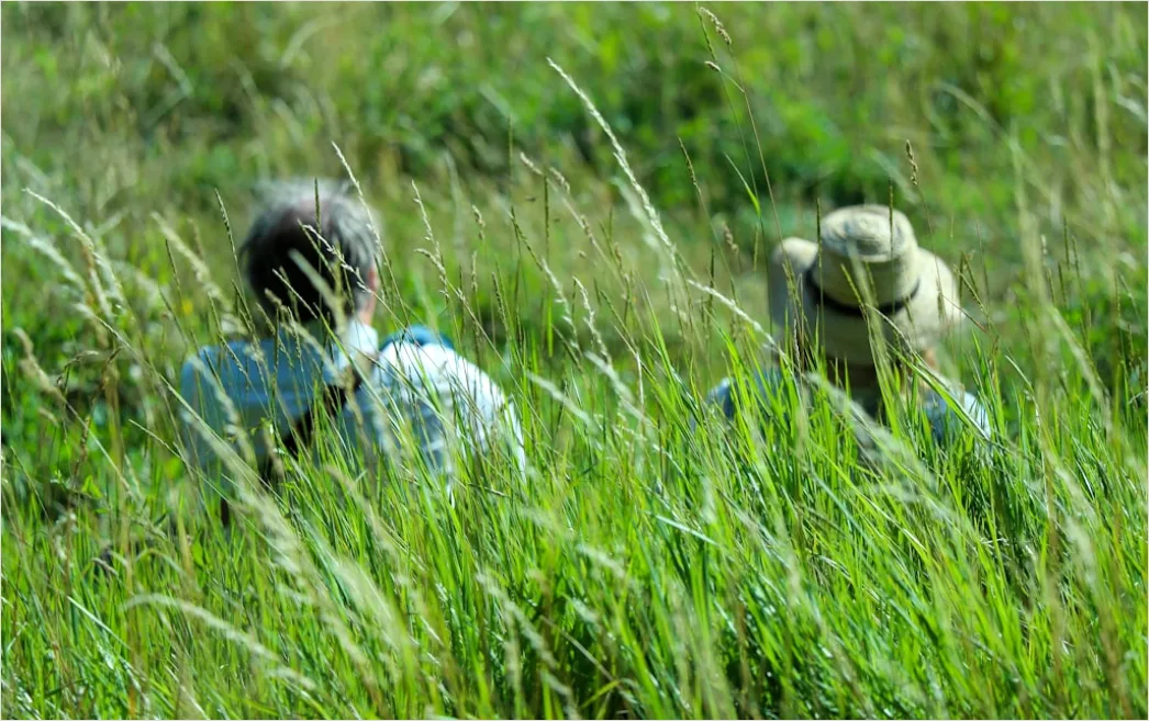 Detail Wetland Research Sampling And Monitoring Outdoors Number 7