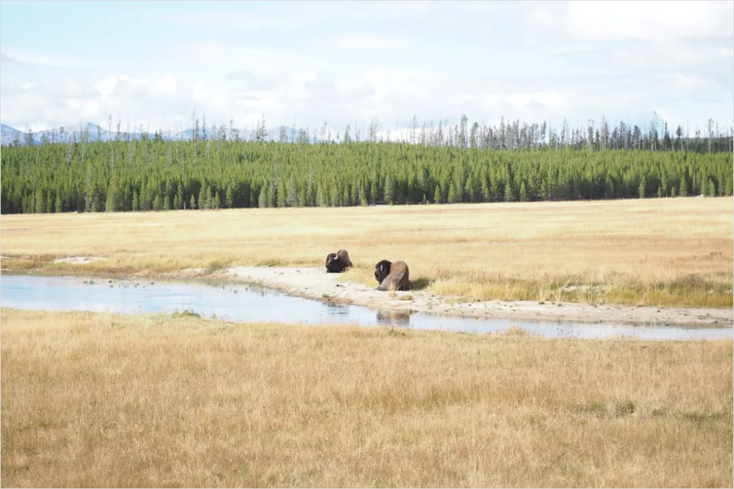 Detail Wetland Research Sampling And Monitoring Outdoors Number 10
