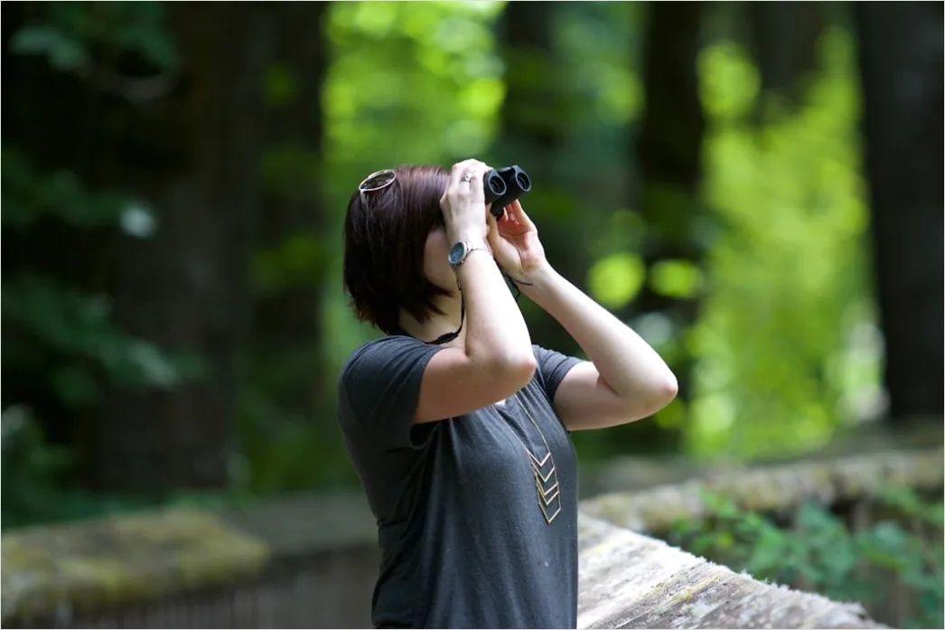 Detail Wildlife Researcher Observing Animals With Binoculars Number 2