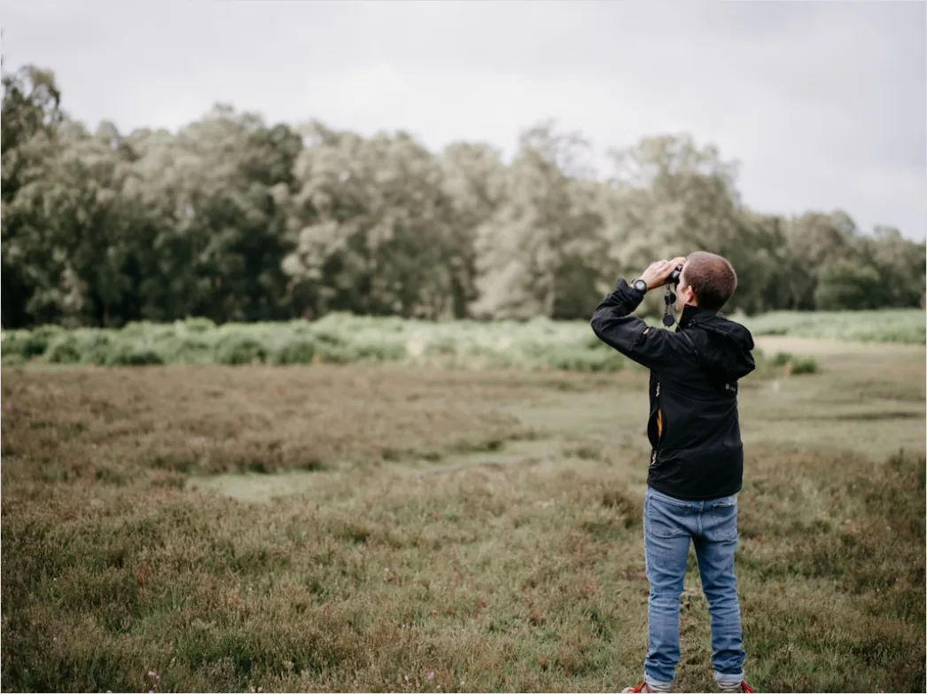 Detail Wildlife Researcher Observing Animals With Binoculars Number 13