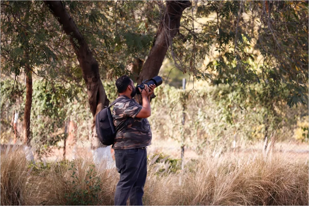 Detail Wildlife Researcher Observing Animals With Binoculars Number 14