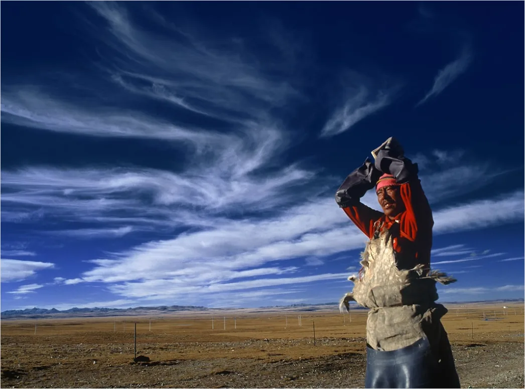 Detail Wildlife Researcher Observing Animals With Binoculars Number 15