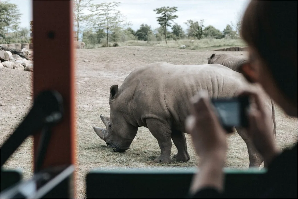 Detail Wildlife Researcher Observing Animals With Binoculars Number 16