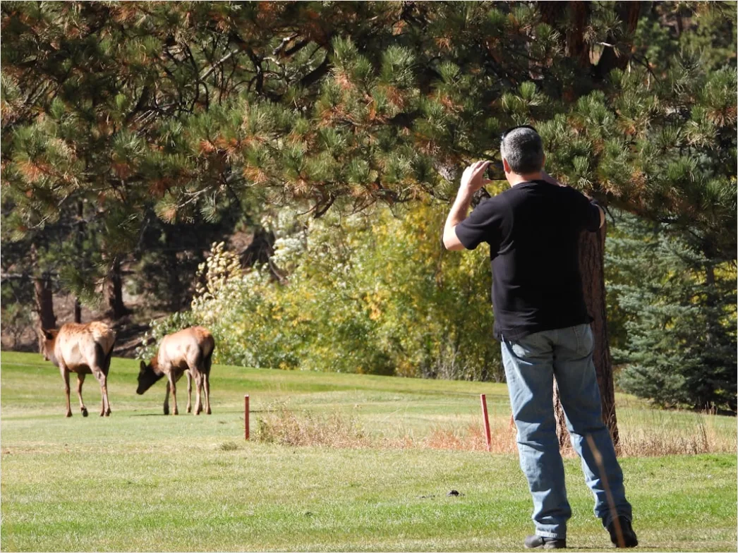 Detail Wildlife Researcher Observing Animals With Binoculars Number 18