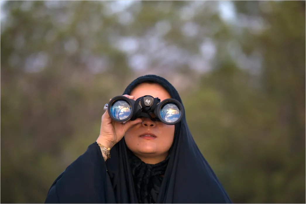 Detail Wildlife Researcher Observing Animals With Binoculars Number 3