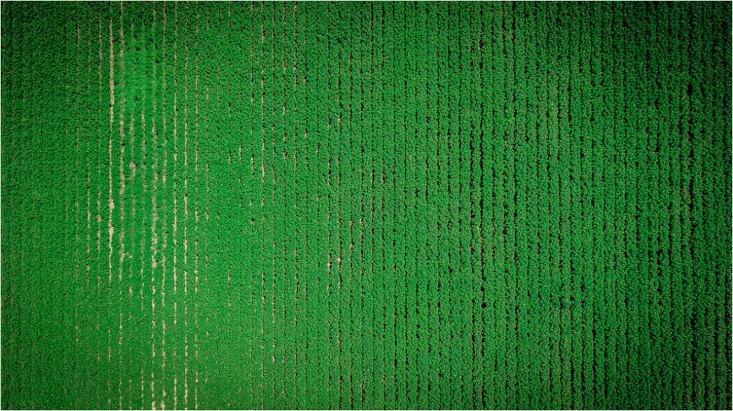 Detail Abstrakt Matrix Code Hintergrund Dunkel Grün Number 9
