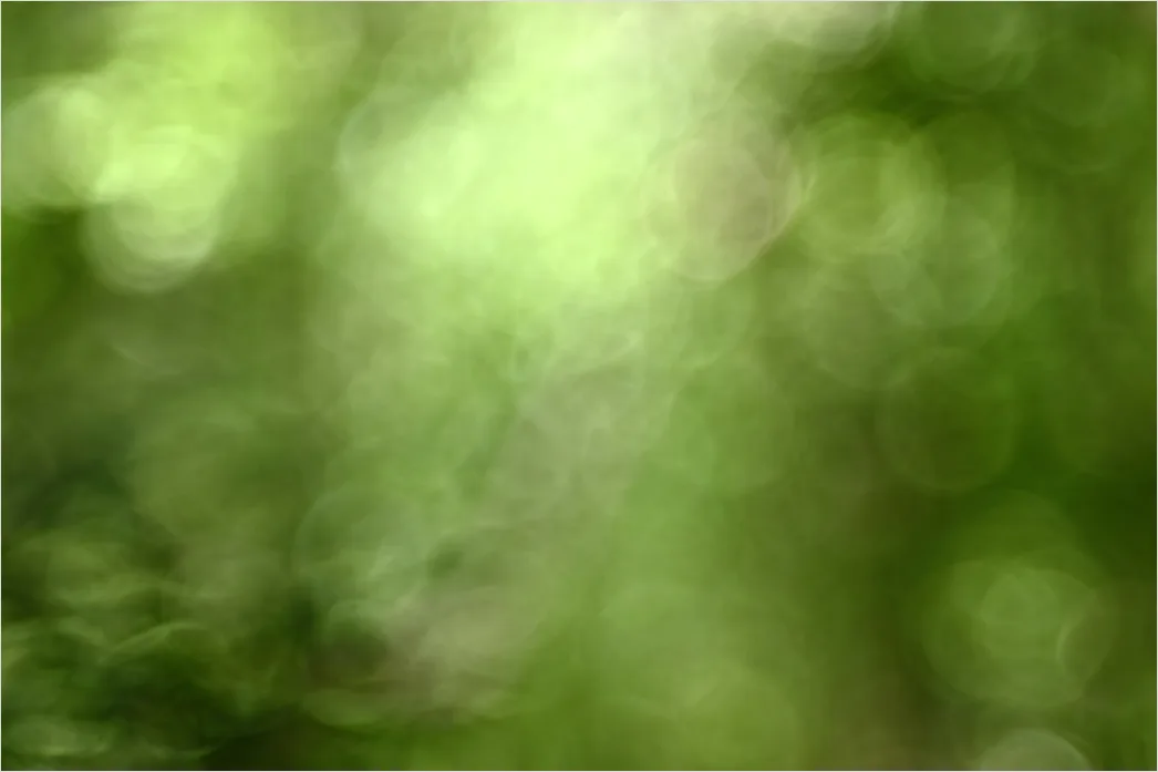 Detail Abstrakt Natur Hintergrund Blätter Textur Number 2