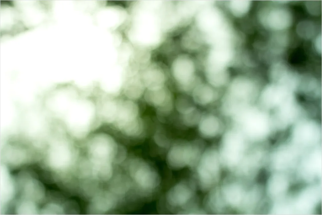 Abstrakt Natur Hintergrund Moos Textur Gruen 5887