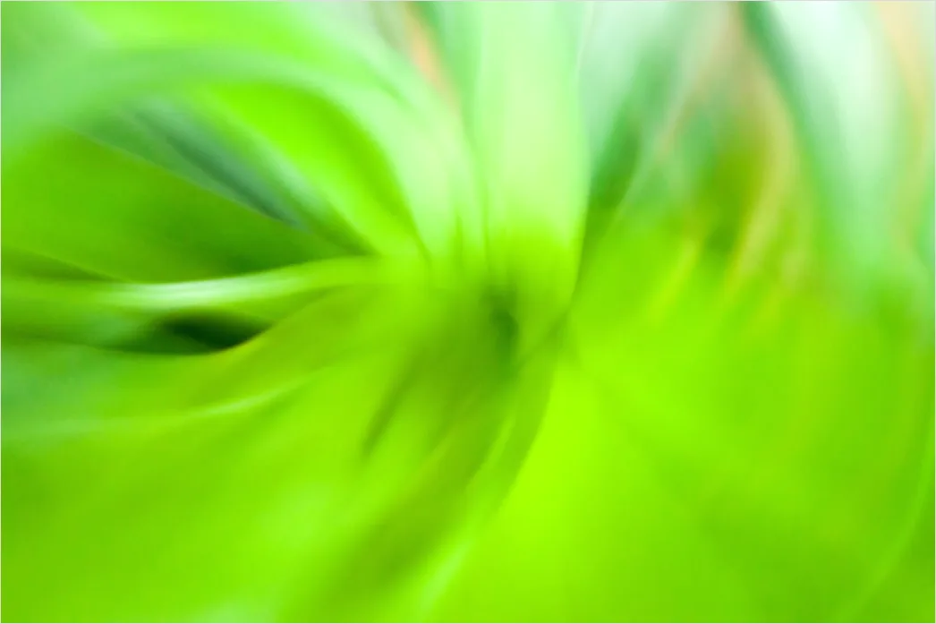 Detail Abstrakt Natur Hintergrund Moos Textur Grün Number 3