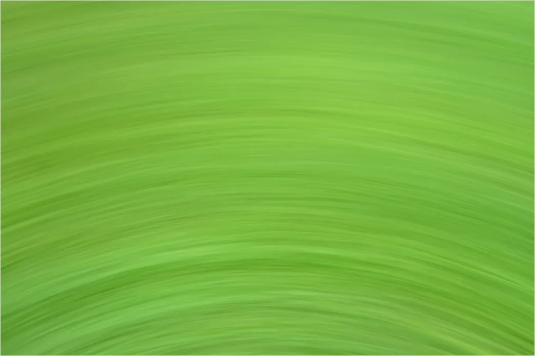 Detail Abstrakt Natur Hintergrund Moos Textur Grün Number 4