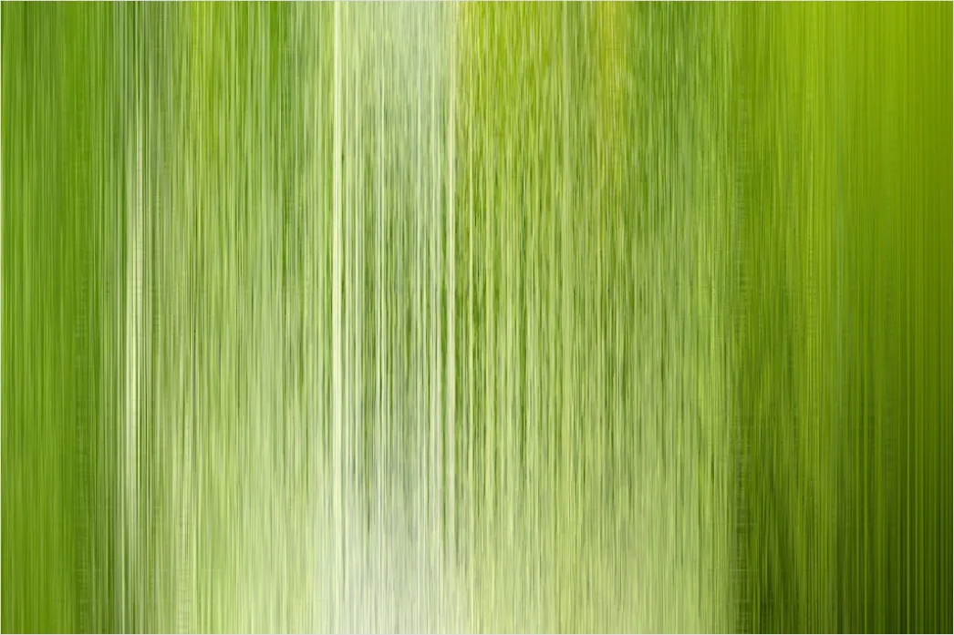 Detail Abstrakt Natur Hintergrund Moos Textur Grün Number 5