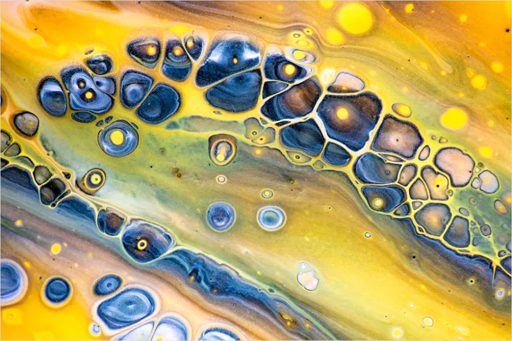 Detail Acryl Pouring Abstrakt Zellen Effekt Farben Number 8