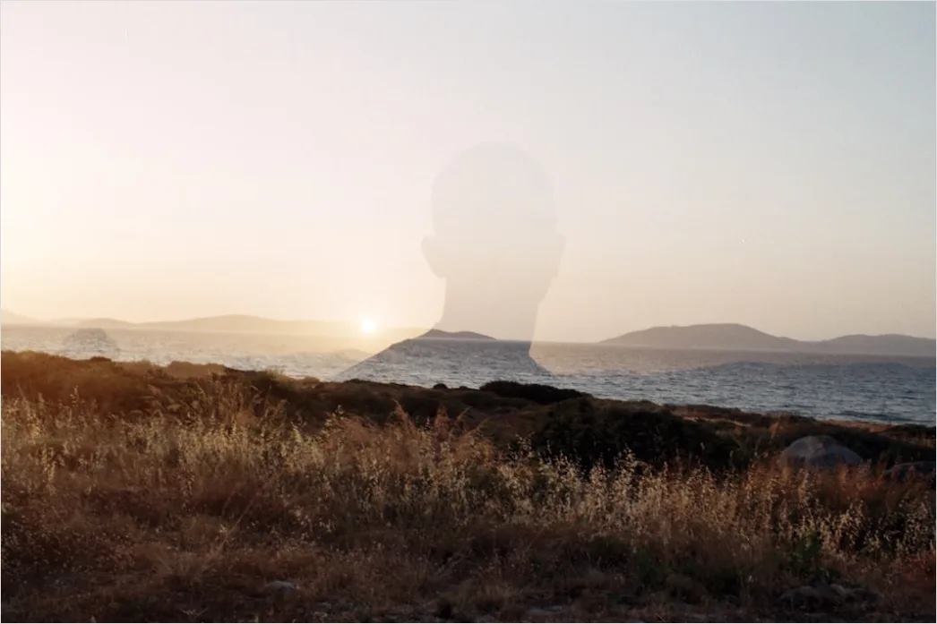 Detail Artistic Portrait Double Exposure Nature And Number 15