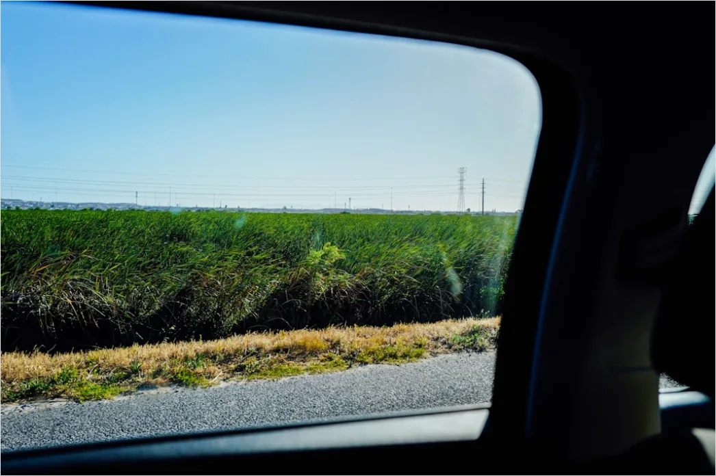 Detail Car Interior Panoramic Sunroof Open Sky Number 5