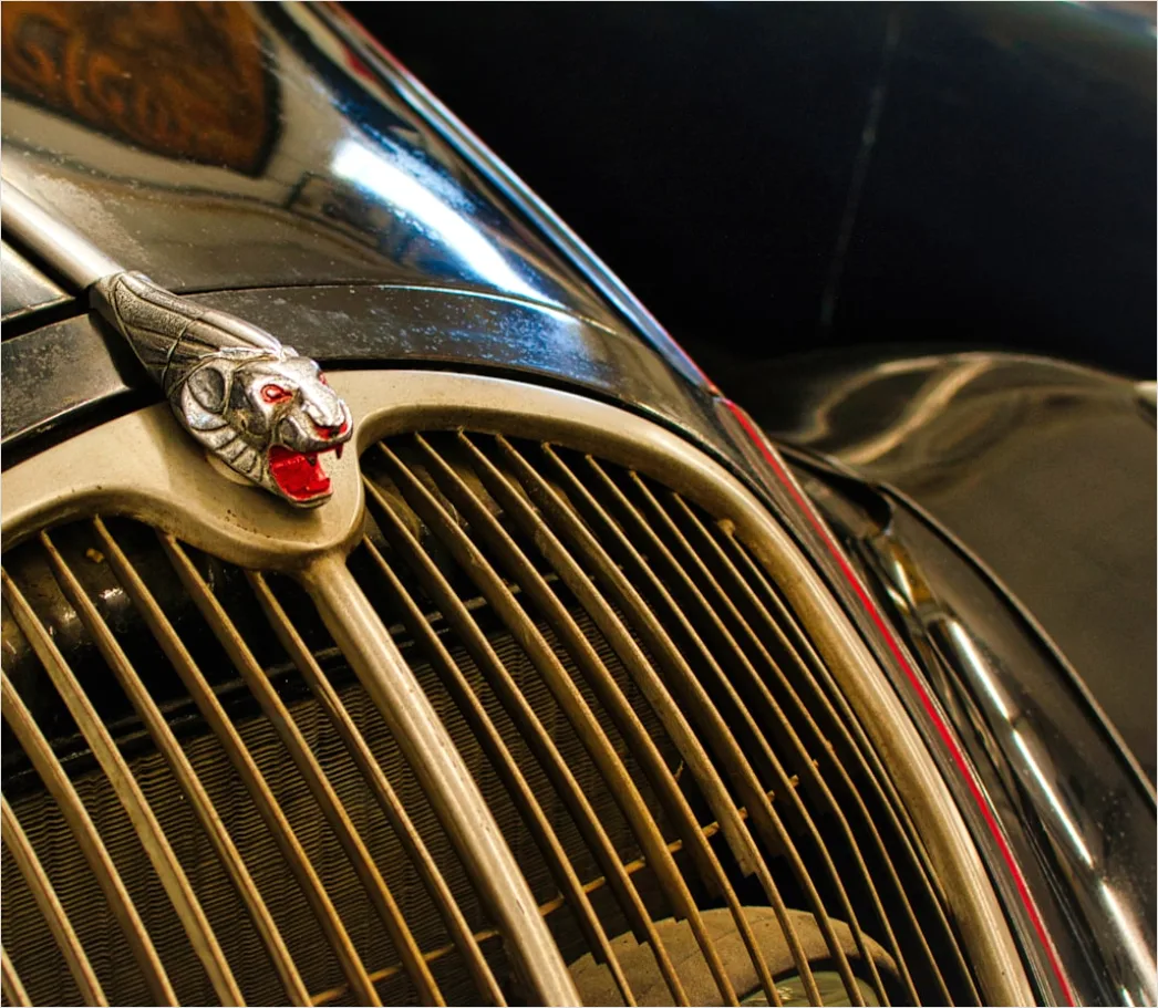 Detail Classic Car Chrome Bumper Detail Close Up Number 19