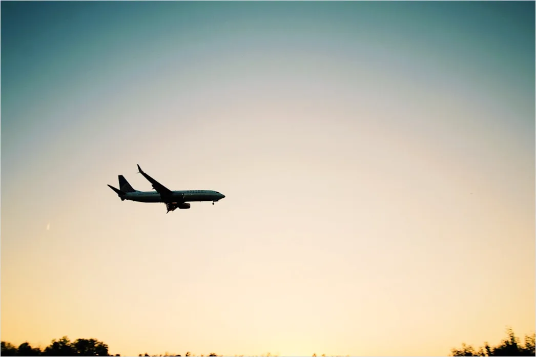 Detail Commercial Airplane Taking Off At Sunset Number 5