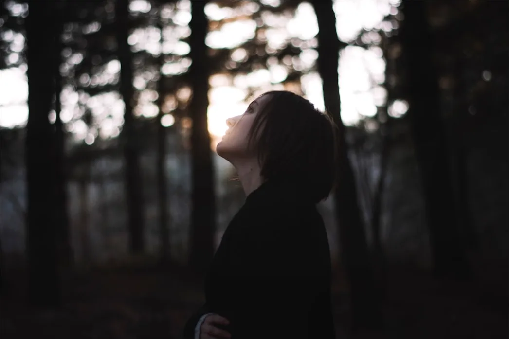 Detail Creative Double Exposure Portrait Forest Silhouette Number 2