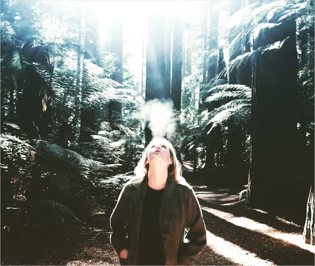 Detail Creative Double Exposure Portrait Forest Silhouette Number 11