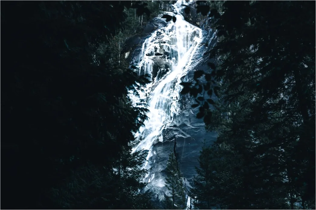 Detail Creative Double Exposure Portrait Forest Silhouette Number 12