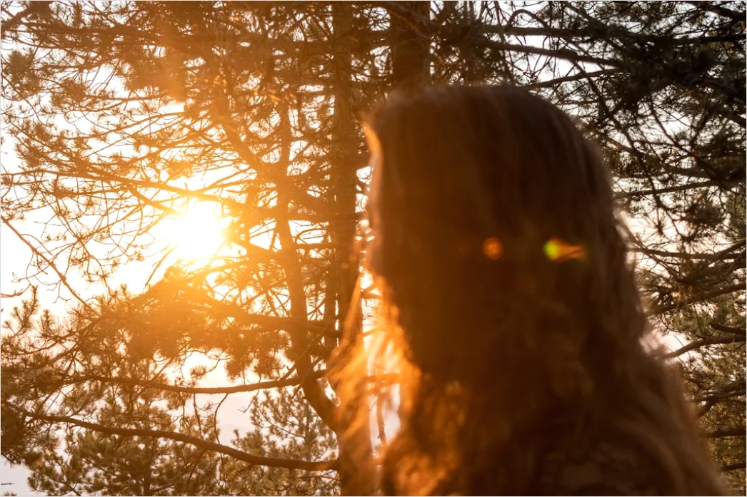 Detail Creative Double Exposure Portrait Forest Silhouette Number 19