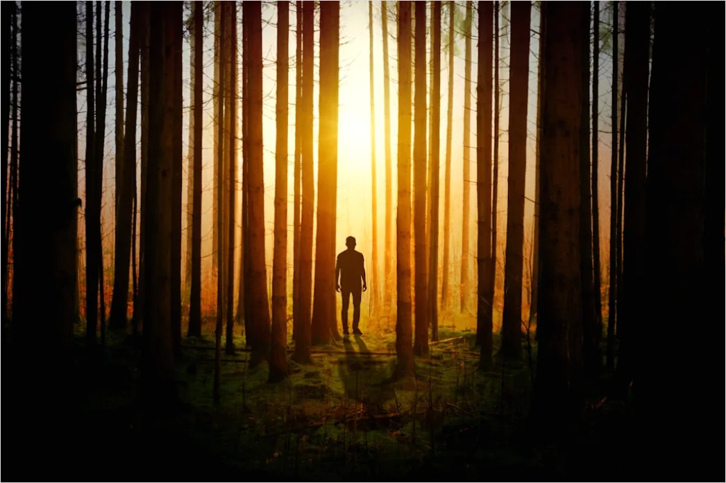 Detail Creative Double Exposure Portrait Forest Silhouette Number 20
