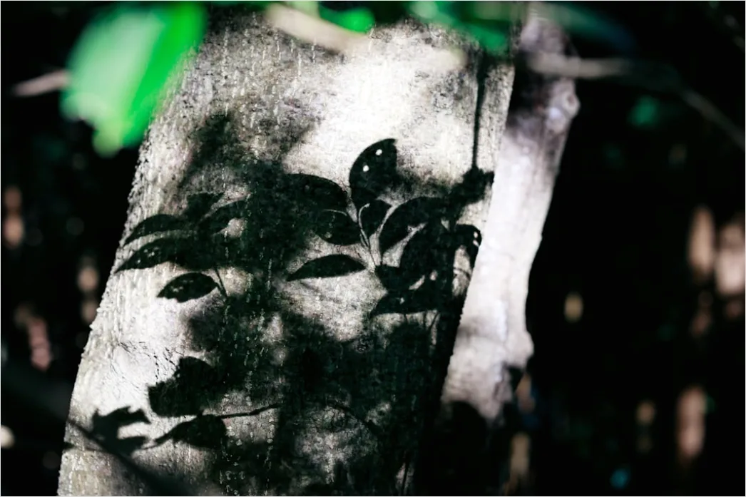 Detail Creative Double Exposure Portrait Forest Silhouette Number 3