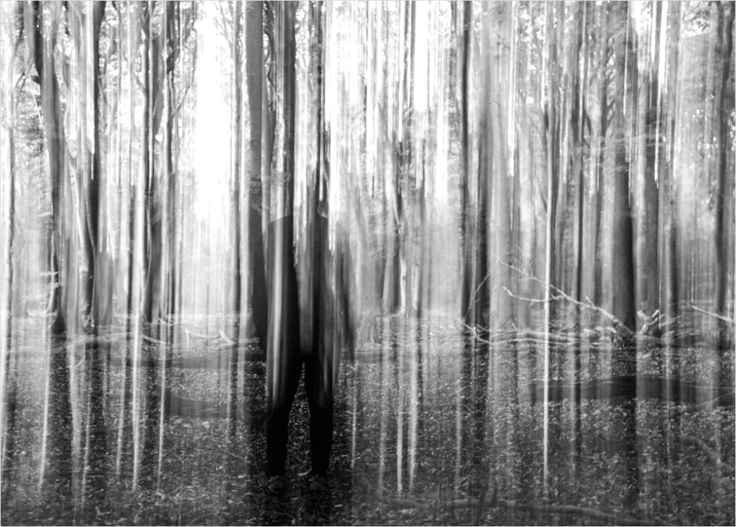 Detail Creative Double Exposure Portrait Forest Silhouette Number 6