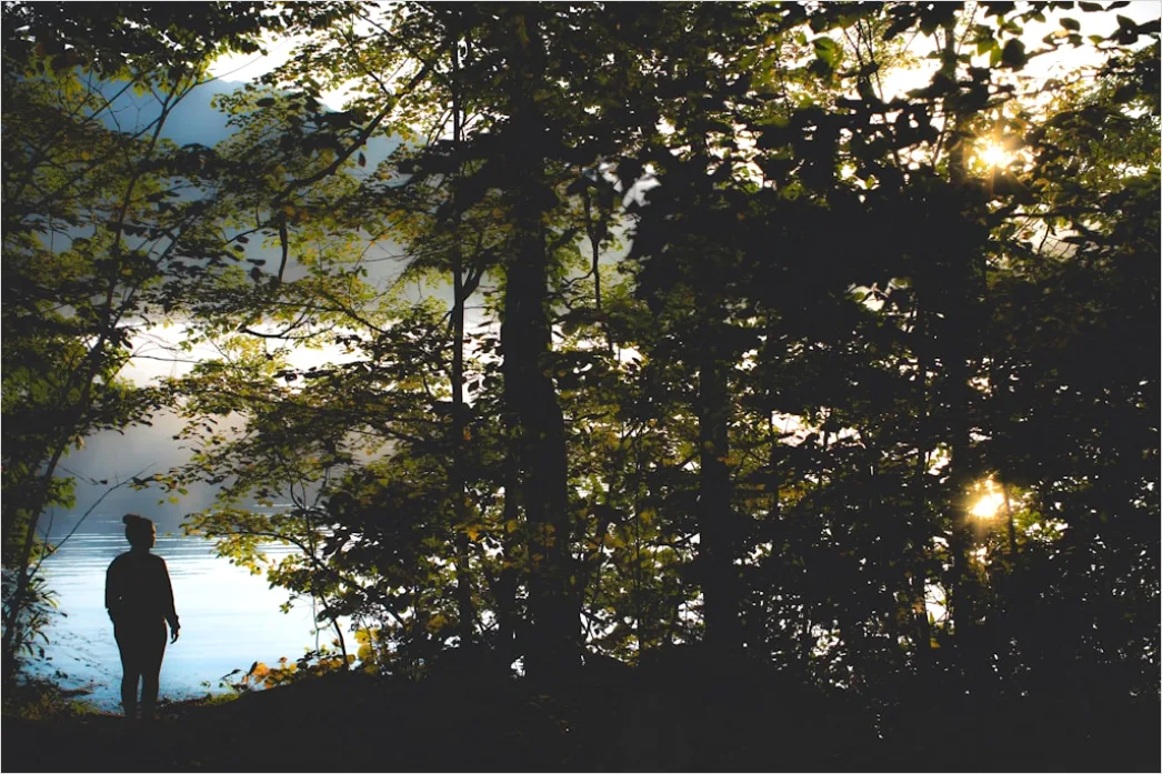 Detail Creative Double Exposure Portrait Forest Silhouette Number 10
