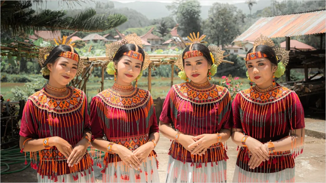 Detail Cultural Dance Performer Portrait Traditional Costume Number 18