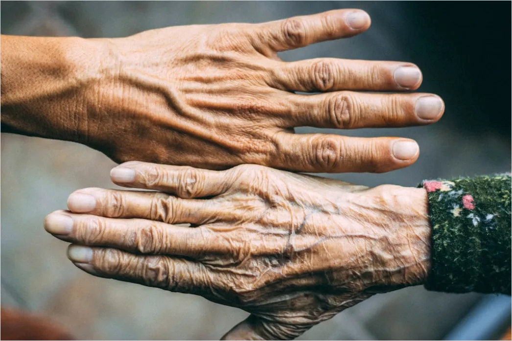 Detail Elderly Couple Portrait Holding Hands Close Up Number 19