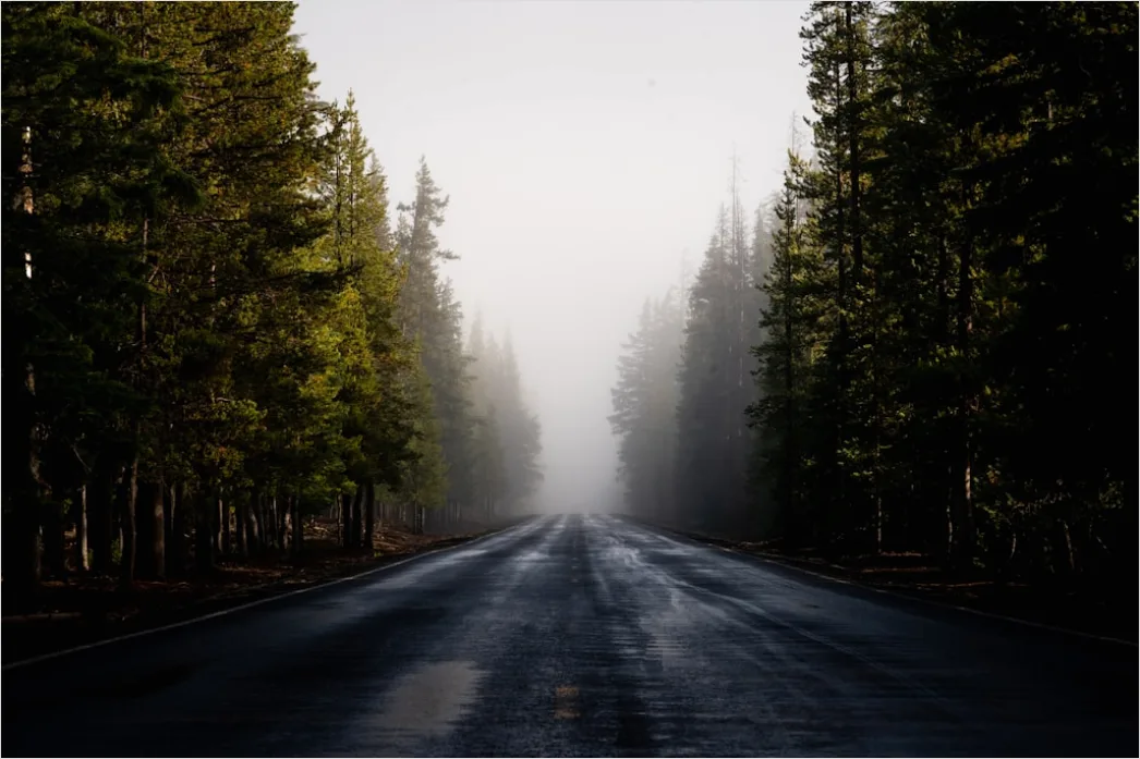 Detail Empty Road Fog Morning Atmospheric Landscape Number 2