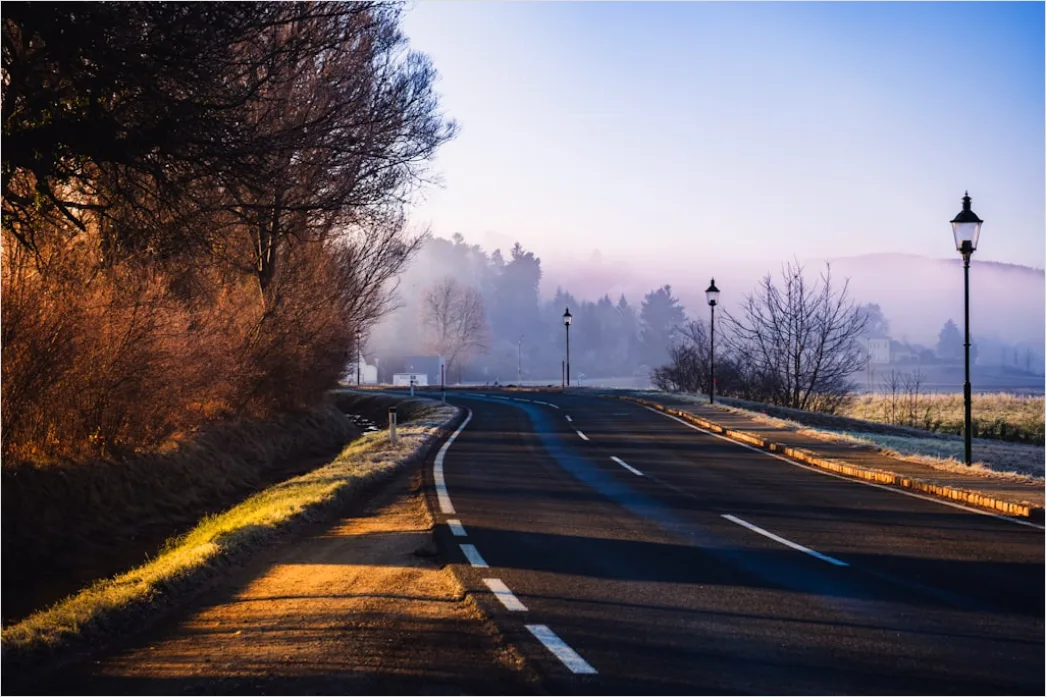 Detail Empty Road Fog Morning Atmospheric Landscape Number 12