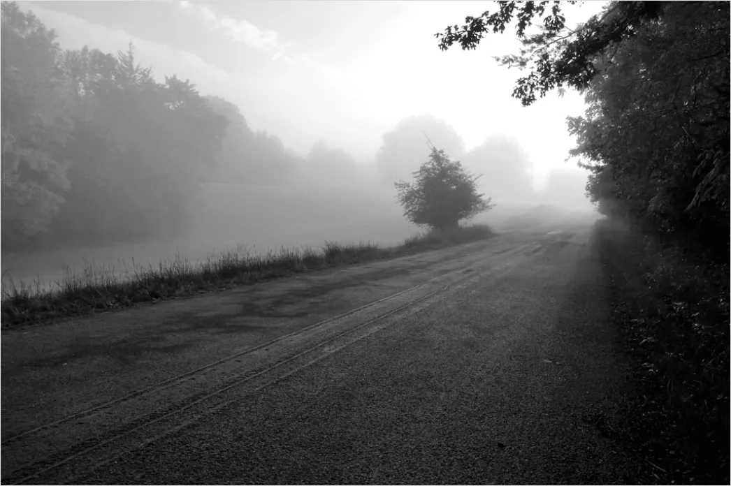 Detail Empty Road Fog Morning Atmospheric Landscape Number 13