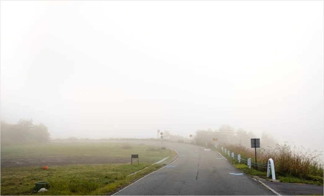 Detail Empty Road Fog Morning Atmospheric Landscape Number 16