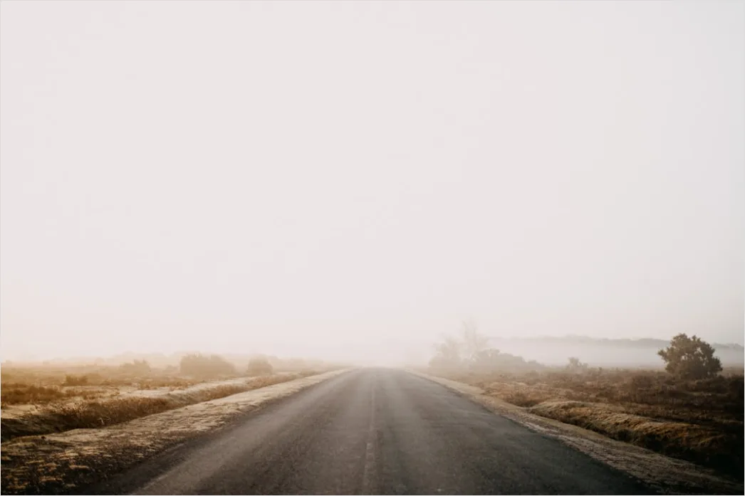 Detail Empty Road Fog Morning Atmospheric Landscape Number 17