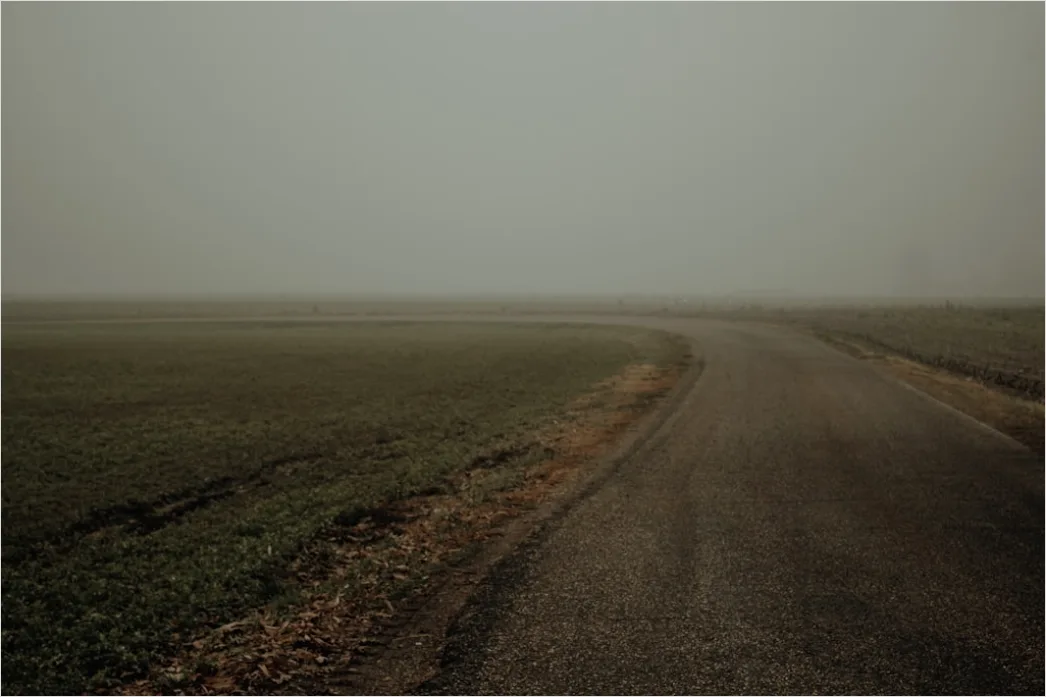 Detail Empty Road Fog Morning Atmospheric Landscape Number 18