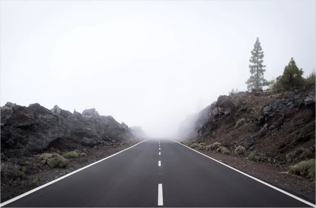 Detail Empty Road Fog Morning Atmospheric Landscape Number 3