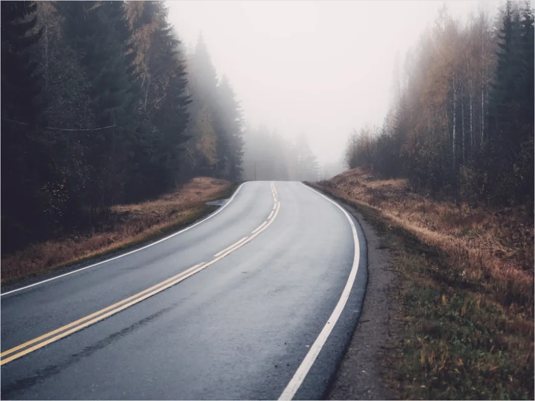 Detail Empty Road Fog Morning Atmospheric Landscape Number 5